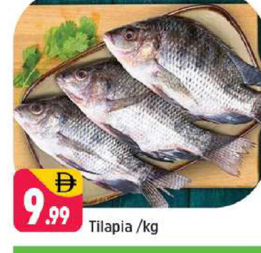 available at شكلان ماركت in الإمارات العربية المتحدة , الامارات - دبي