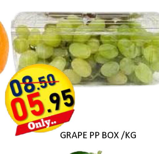 available at رويال جلف هايبرماركت in الإمارات العربية المتحدة , الامارات - أبو ظبي