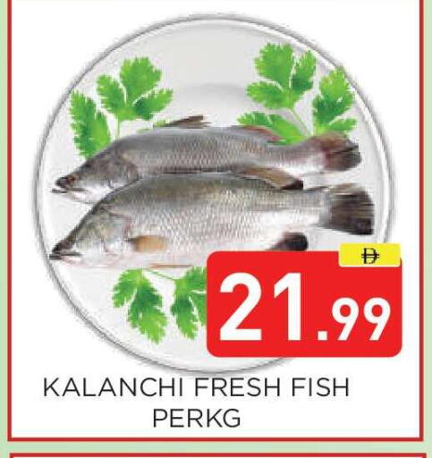 available at Ain Al Madina Hypermarket in UAE - Sharjah / Ajman