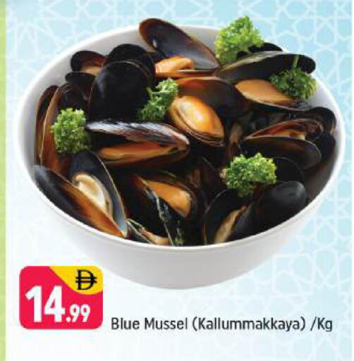 available at شكلان ماركت in الإمارات العربية المتحدة , الامارات - دبي