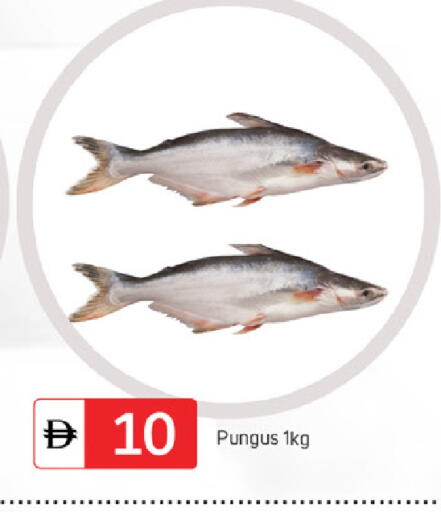 available at سوق طلال in الإمارات العربية المتحدة , الامارات - دبي