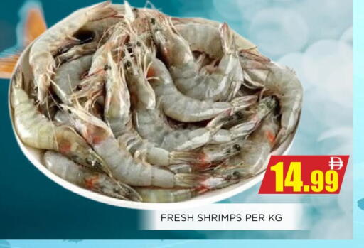 available at اينس المدينة هايبرماركت in الإمارات العربية المتحدة , الامارات - الشارقة / عجمان