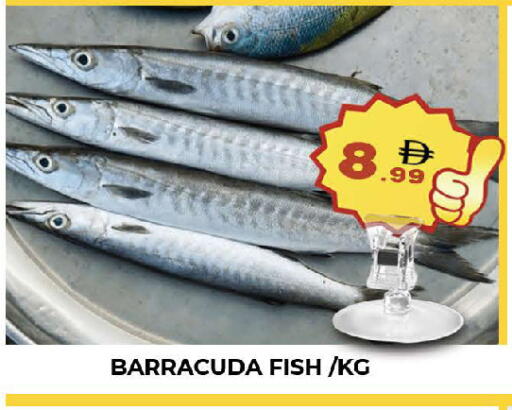 available at AL MADINA (Dubai) in UAE - Dubai