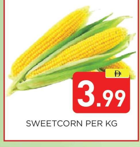 available at عين المدينة هايبرماركت in الإمارات العربية المتحدة , الامارات - الشارقة / عجمان