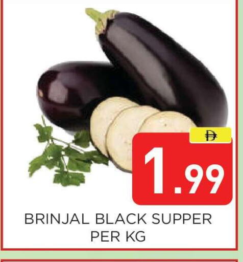 available at Ain Al Madina Hypermarket in UAE - Sharjah / Ajman