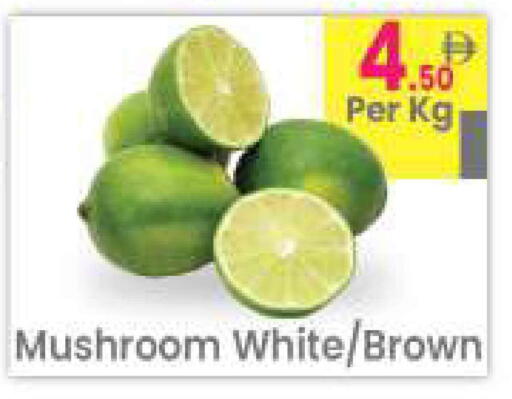 Mushroom available at مركز كل يوم in الإمارات العربية المتحدة , الامارات - الشارقة / عجمان