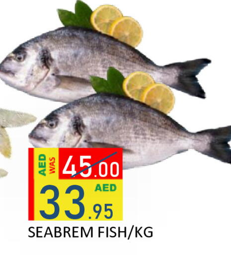 available at رويال جلف هايبرماركت in الإمارات العربية المتحدة , الامارات - أبو ظبي