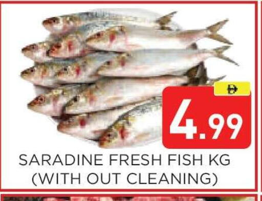 available at عين المدينة هايبرماركت in الإمارات العربية المتحدة , الامارات - الشارقة / عجمان