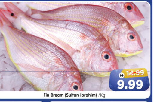 available at هايبر ماركت المدينة in الإمارات العربية المتحدة , الامارات - أبو ظبي