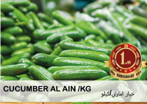 Cucumber available at سوق المبارك هايبرماركت in الإمارات العربية المتحدة , الامارات - الشارقة / عجمان