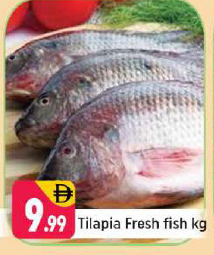 available at شكلان ماركت in الإمارات العربية المتحدة , الامارات - دبي