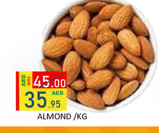 available at رويال جلف هايبرماركت in الإمارات العربية المتحدة , الامارات - أبو ظبي