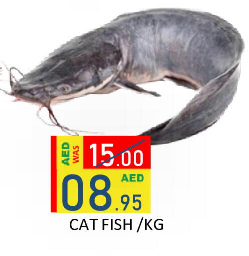 available at رويال جلف هايبرماركت in الإمارات العربية المتحدة , الامارات - أبو ظبي