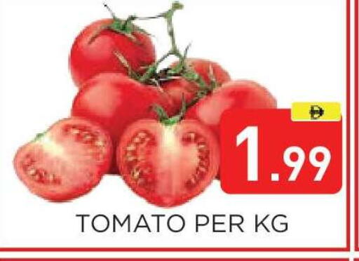 Tomato available at عين المدينة هايبرماركت in الإمارات العربية المتحدة , الامارات - الشارقة / عجمان