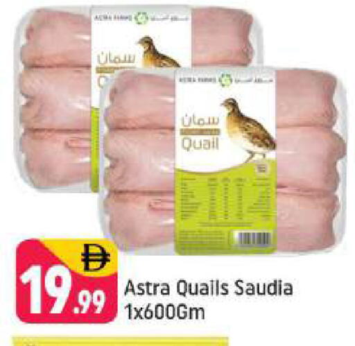 available at شكلان ماركت in الإمارات العربية المتحدة , الامارات - دبي