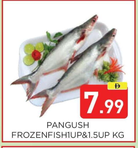 available at عين المدينة هايبرماركت in الإمارات العربية المتحدة , الامارات - الشارقة / عجمان