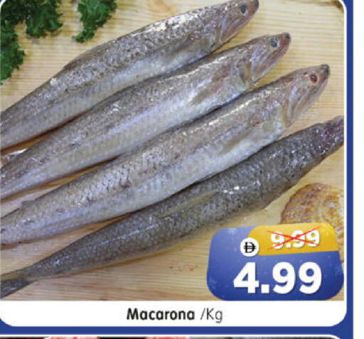 available at هايبر ماركت المدينة in الإمارات العربية المتحدة , الامارات - أبو ظبي