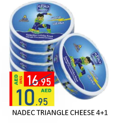 available at رويال جلف هايبرماركت in الإمارات العربية المتحدة , الامارات - أبو ظبي