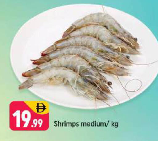 available at شكلان ماركت in الإمارات العربية المتحدة , الامارات - دبي