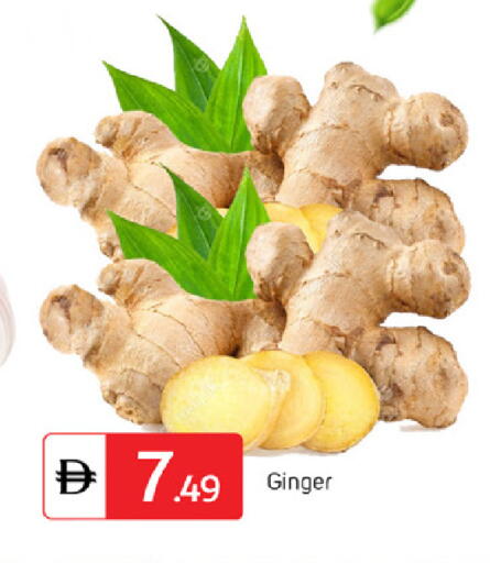 Ginger available at سوق طلال in الإمارات العربية المتحدة , الامارات - دبي