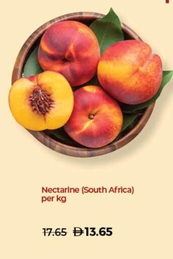 Nectarine from South Africa available at Lulu Hypermarket in UAE - Umm al Quwain