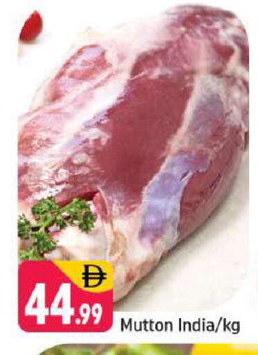 available at شكلان ماركت in الإمارات العربية المتحدة , الامارات - دبي