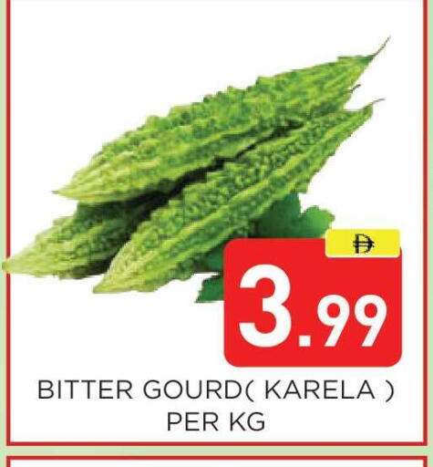 available at عين المدينة هايبرماركت in الإمارات العربية المتحدة , الامارات - الشارقة / عجمان