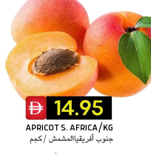 Apricot available at سيليكت ماركت in الإمارات العربية المتحدة , الامارات - أبو ظبي