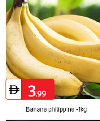 Banana from Philippines available at سوق طلال in الإمارات العربية المتحدة , الامارات - أبو ظبي