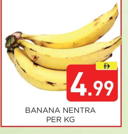 Banana available at عين المدينة هايبرماركت in الإمارات العربية المتحدة , الامارات - الشارقة / عجمان