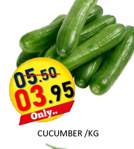 Cucumber available at رويال جلف هايبرماركت in الإمارات العربية المتحدة , الامارات - أبو ظبي