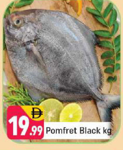 available at شكلان ماركت in الإمارات العربية المتحدة , الامارات - دبي