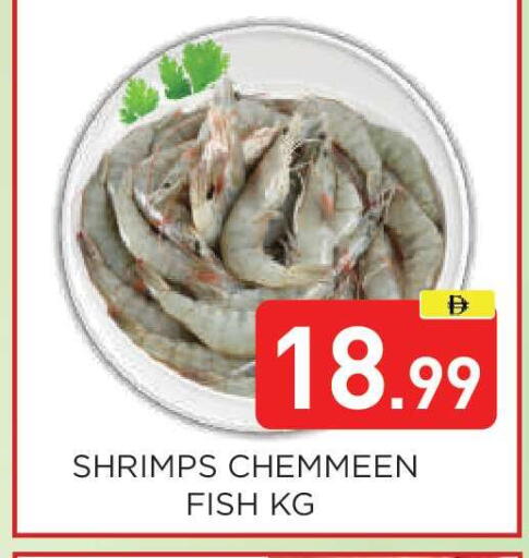 available at عين المدينة هايبرماركت in الإمارات العربية المتحدة , الامارات - الشارقة / عجمان