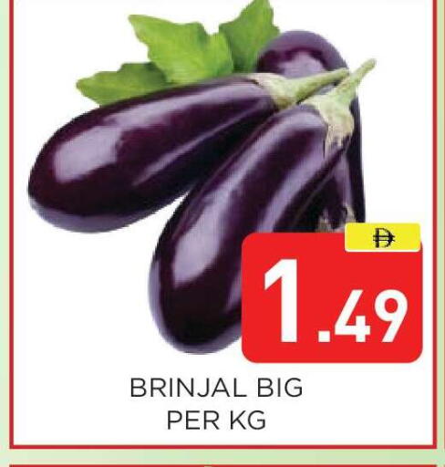 available at عين المدينة هايبرماركت in الإمارات العربية المتحدة , الامارات - الشارقة / عجمان