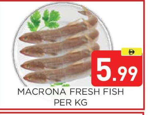 available at عين المدينة هايبرماركت in الإمارات العربية المتحدة , الامارات - الشارقة / عجمان