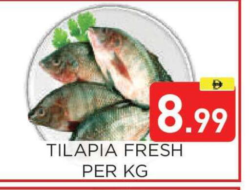 available at عين المدينة هايبرماركت in الإمارات العربية المتحدة , الامارات - الشارقة / عجمان