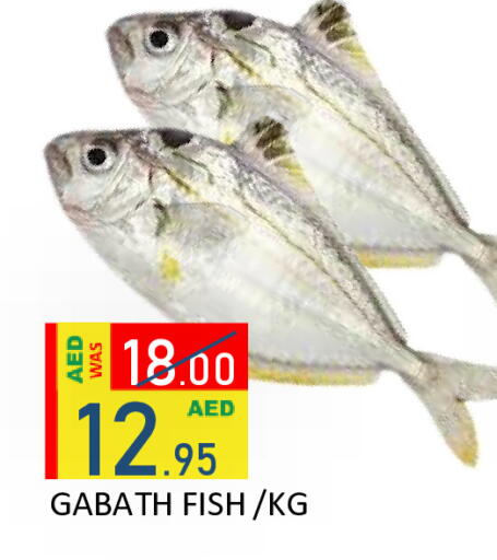 available at رويال جلف هايبرماركت in الإمارات العربية المتحدة , الامارات - أبو ظبي