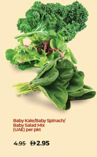 Kale Spinach available at Lulu Hypermarket in UAE - Sharjah / Ajman