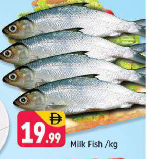 available at شكلان ماركت in الإمارات العربية المتحدة , الامارات - دبي