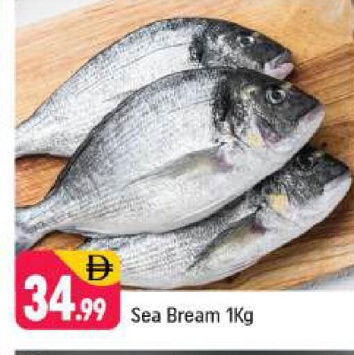 available at شكلان ماركت in الإمارات العربية المتحدة , الامارات - دبي