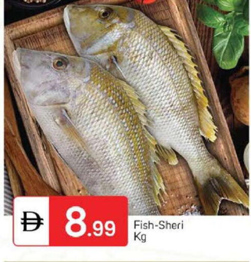 available at سوق طلال in الإمارات العربية المتحدة , الامارات - دبي