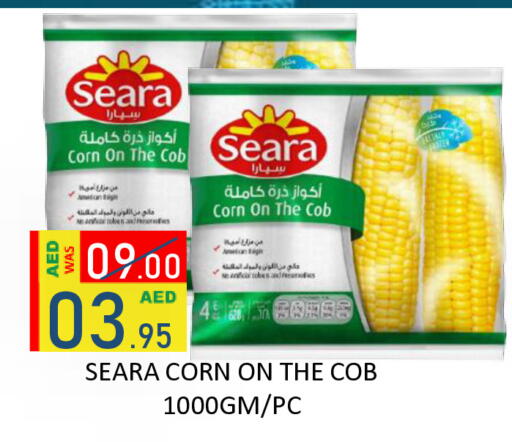 available at رويال جلف هايبرماركت in الإمارات العربية المتحدة , الامارات - أبو ظبي