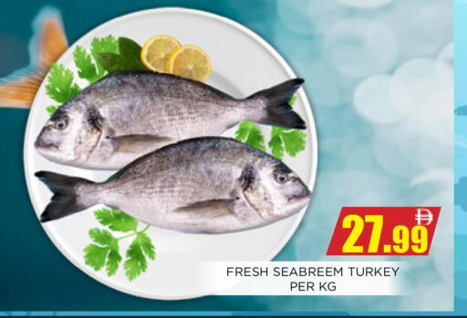 available at اينس المدينة هايبرماركت in الإمارات العربية المتحدة , الامارات - الشارقة / عجمان