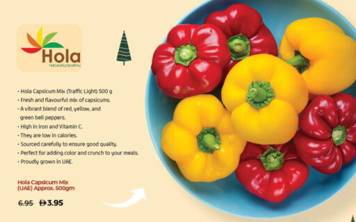 Capsicum available at لولو هايبرماركت in الإمارات العربية المتحدة , الامارات - أم القيوين‎
