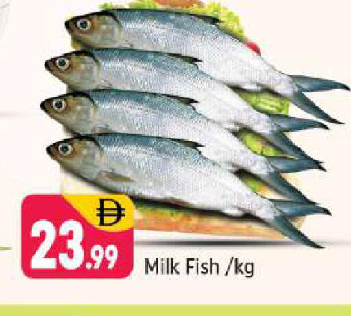 available at Shaklan  in UAE - Dubai