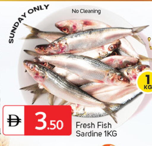 available at سوق طلال in الإمارات العربية المتحدة , الامارات - دبي