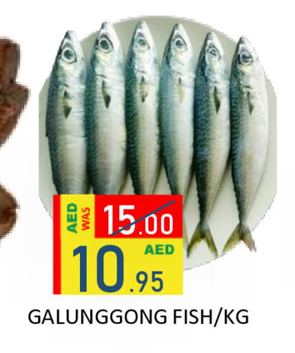 available at رويال جلف هايبرماركت in الإمارات العربية المتحدة , الامارات - أبو ظبي