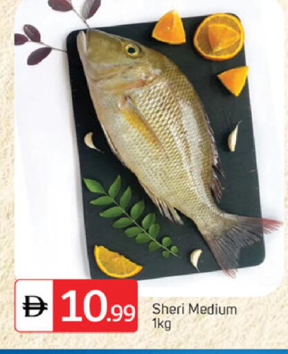 available at TALAL MARKET in UAE - Abu Dhabi