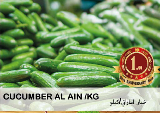 Cucumber available at سوق المبارك هايبرماركت in الإمارات العربية المتحدة , الامارات - الشارقة / عجمان