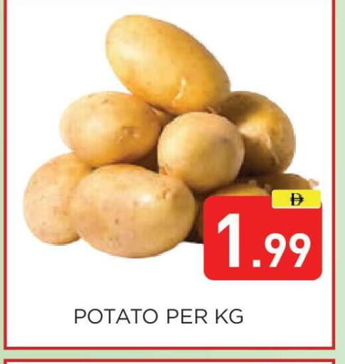 Potato available at عين المدينة هايبرماركت in الإمارات العربية المتحدة , الامارات - الشارقة / عجمان